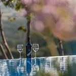 ヴィラ Stone Cara D Oro - Heated Infinity Pool & Views Vrana