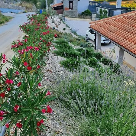 Vila Stone Cara D Oro - Heated Infinity Pool & Views Vrana (Zadar)
