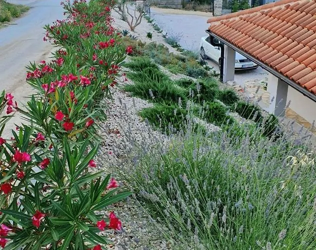 فيلة Stone Cara D Oro - Heated Infinity Pool & Views Vrana (Zadar)