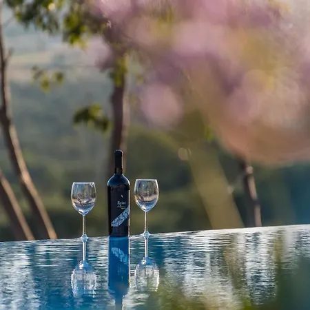 וילה Stone Cara D Oro - Heated Infinity Pool & Views Vrana (Zadar)